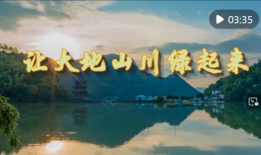 大地视频