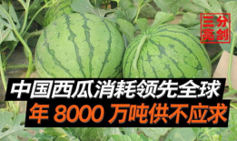 西安吃瓜爆料是真的吗,真相揭秘，是真是假？